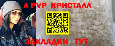 apvp Гусев