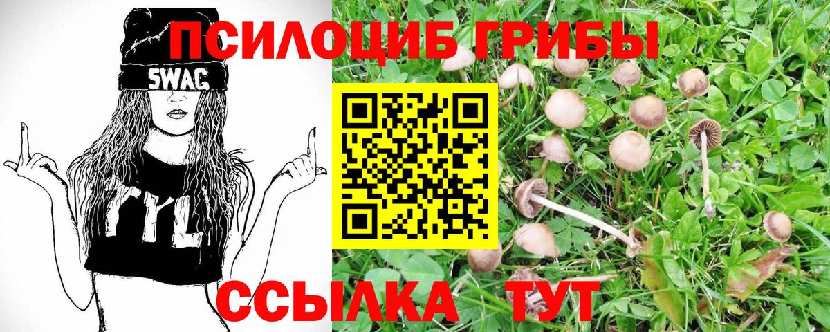 Галлюциногенные грибы мухоморы Обь