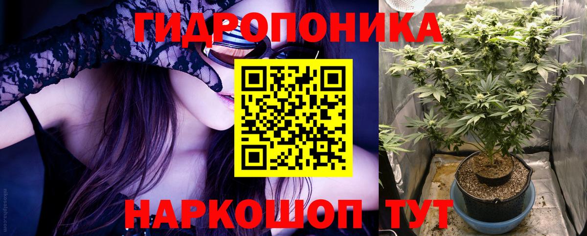 Бошки Шишки семена  Вход с VPN  Каннабис индика  Обь 